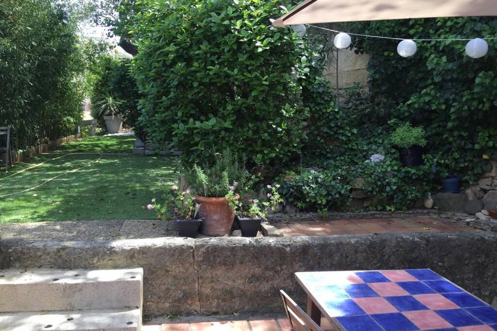La Cassirene - Maisonnette Centre Cassis - Jardin エクステリア 写真